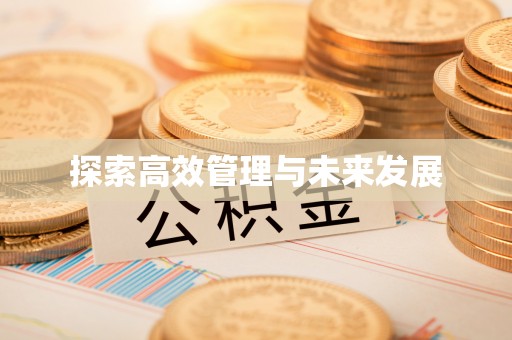 西昌探索高效管理与未来发展