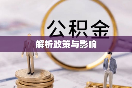 西贡解析政策与影响