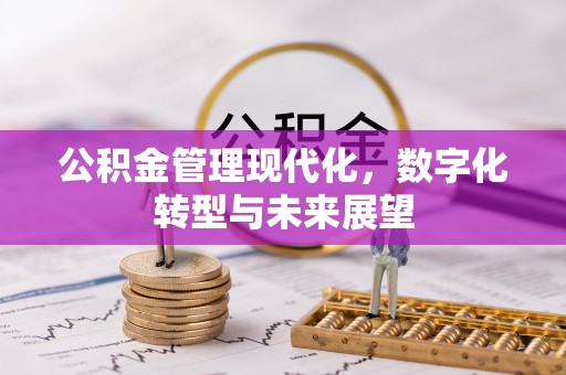 龙泉驿公积金管理现代化，数字化转型与未来展望