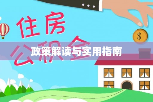 专家政策解读与实用指南