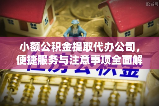 尤溪小额公积金提取代办公司，便捷服务与注意事项全面解析