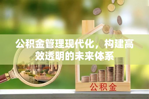泰山公积金管理现代化，构建高效透明的未来体系