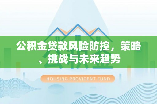 冷水江公积金贷款风险防控，策略、挑战与未来趋势