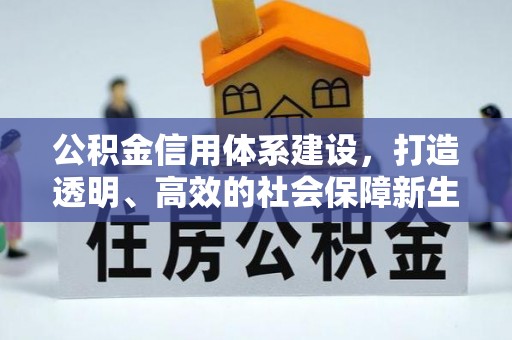 冷水江公积金信用体系建设，打造透明、高效的社会保障新生态