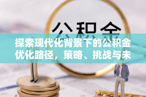 兴和探索现代化背景下的公积金优化路径，策略、挑战与未来展望