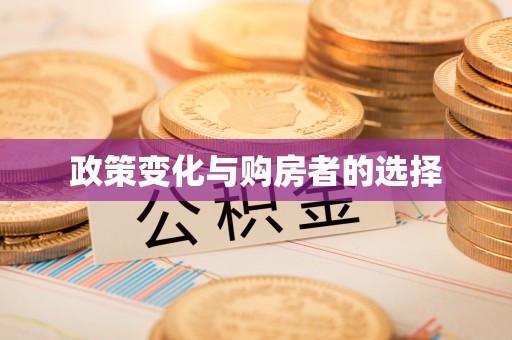 汉川政策变化与购房者的选择