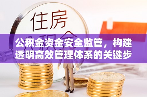上林公积金资金安全监管，构建透明高效管理体系的关键步骤