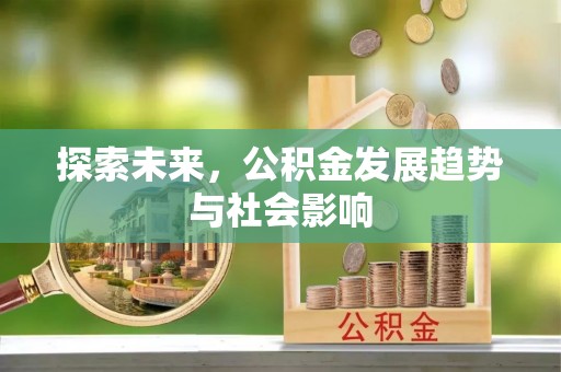 龙岩探索未来，公积金发展趋势与社会影响