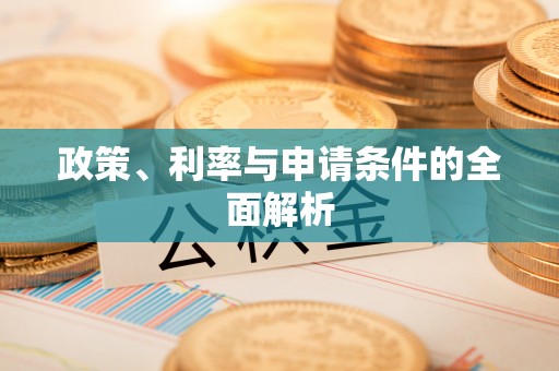 鼎湖政策、利率与申请条件的全面解析