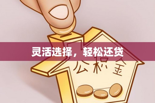 民雄灵活选择，轻松还贷