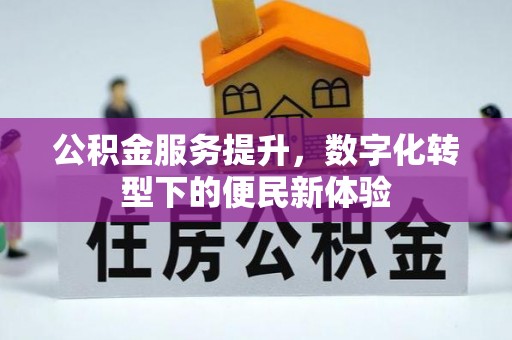 临高公积金服务提升，数字化转型下的便民新体验