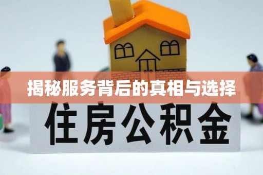 嘉禾揭秘服务背后的真相与选择