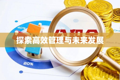弋江探索高效管理与未来发展
