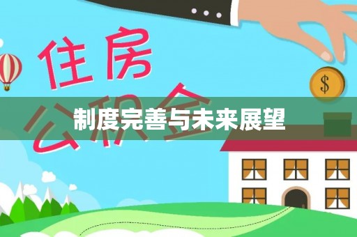 越城制度完善与未来展望