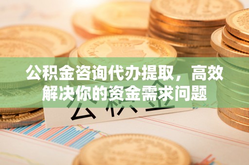 铁力公积金咨询代办提取，高效解决你的资金需求问题