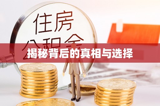 平乡揭秘背后的真相与选择