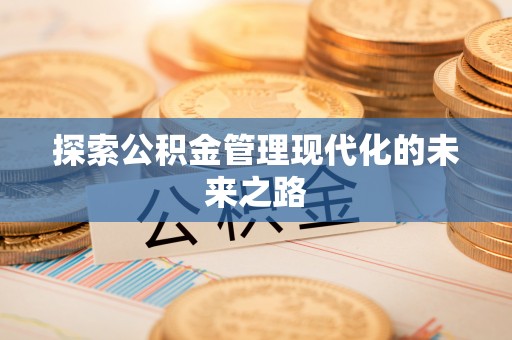 保税区探索公积金管理现代化的未来之路