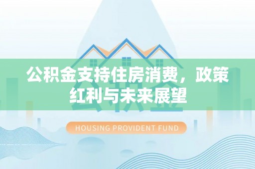 桃源公积金支持住房消费，政策红利与未来展望