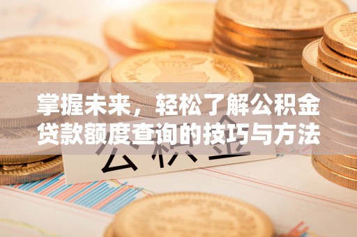 九龙坡掌握未来，轻松了解公积金贷款额度查询的技巧与方法