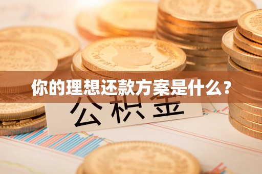 沣东你的理想还款方案是什么？
