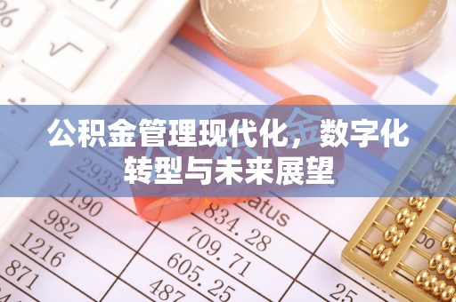 长顺公积金管理现代化，数字化转型与未来展望
