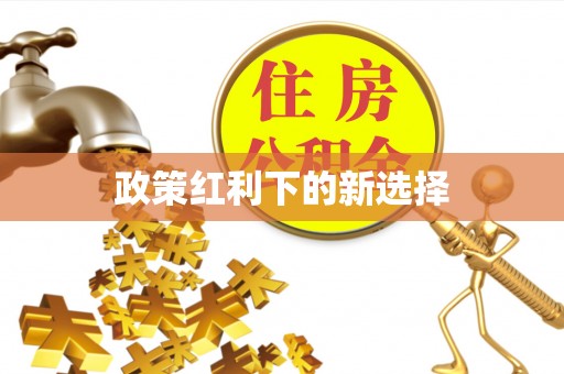 桥头政策红利下的新选择