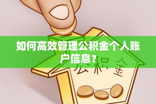 三峡如何高效管理公积金个人账户信息？