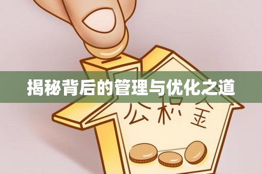 泉港揭秘背后的管理与优化之道