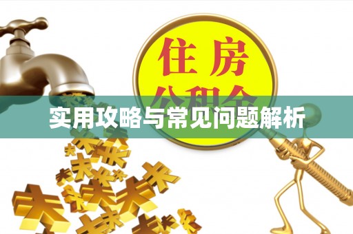 龙海实用攻略与常见问题解析