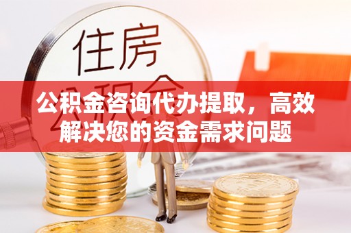 玉田公积金咨询代办提取，高效解决您的资金需求问题