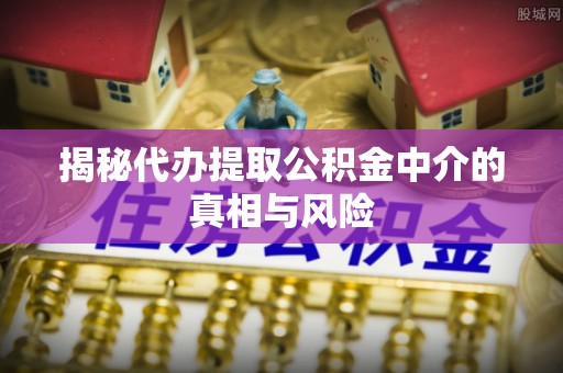 云溪揭秘代办提取公积金中介的真相与风险