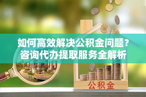 鹿谷如何高效解决公积金问题？咨询代办提取服务全解析