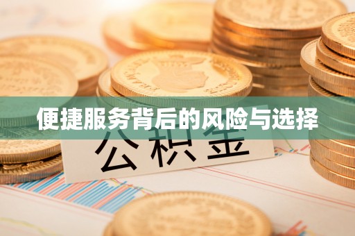 沙依巴克便捷服务背后的风险与选择