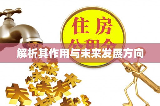 费县解析其作用与未来发展方向