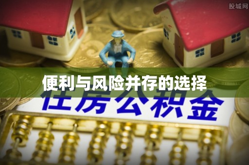 小金便利与风险并存的选择
