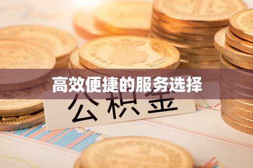 平台高效便捷的服务选择