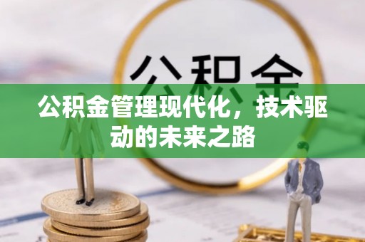 盐边公积金管理现代化，技术驱动的未来之路