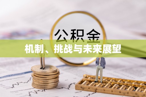 南康机制、挑战与未来展望